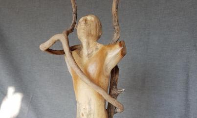 Schreeuw om vrijheid